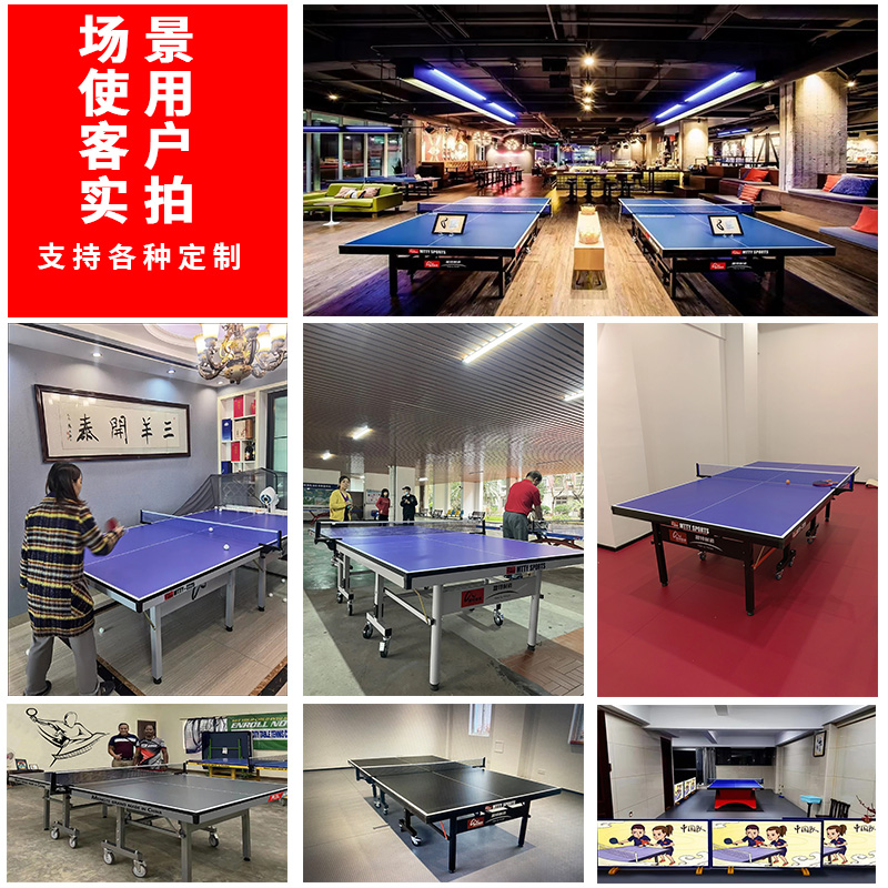 室內折疊乒乓球臺T2550