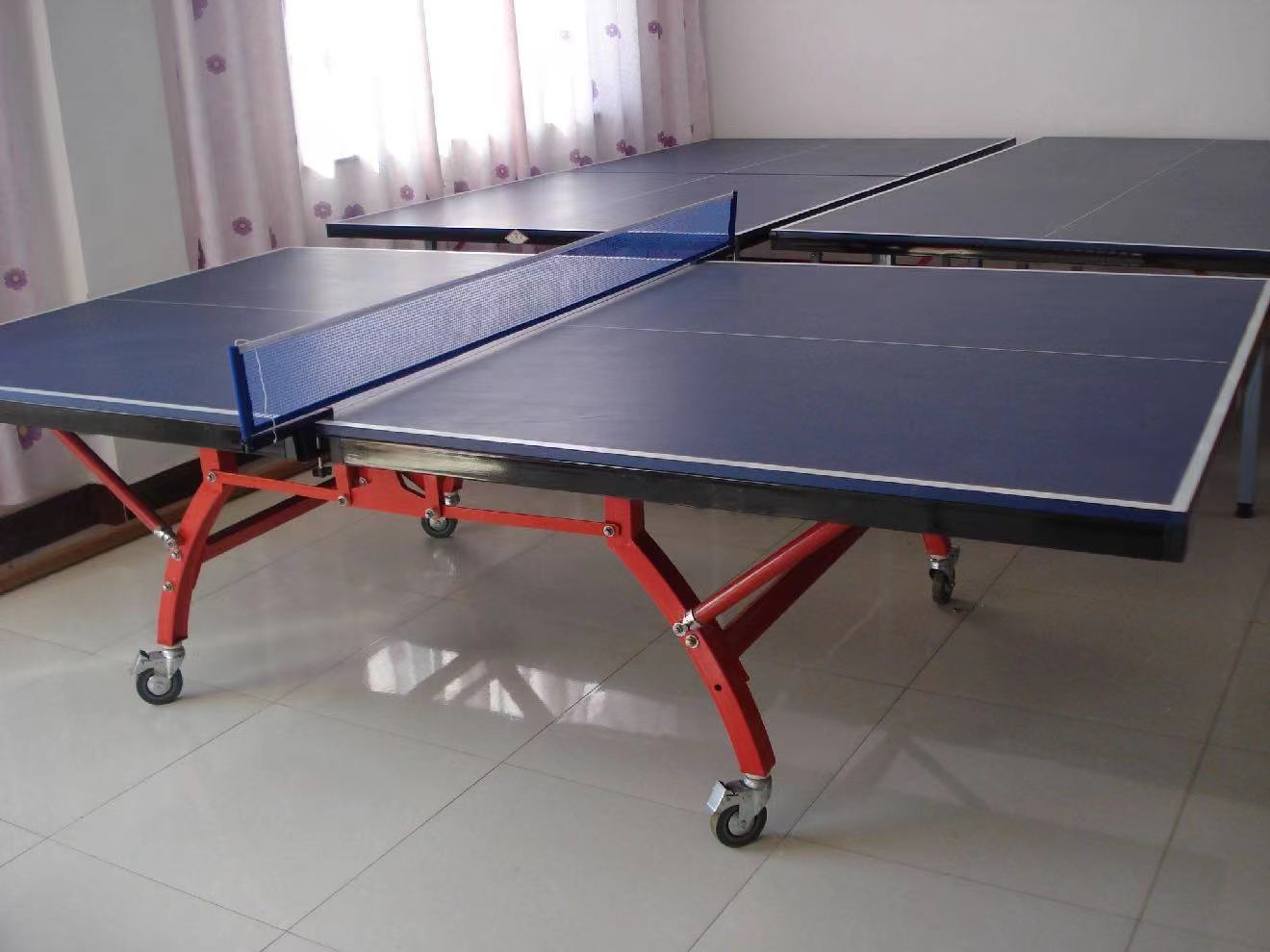 室內乒乓球臺